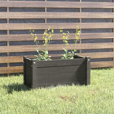 vidaXL Záhradný kvetináč sivý 60x31x31 cm borovicový masív