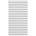 vidaXL Zebra roleta svetlosivá 120x230cm šírka látky 115,9cm polyester