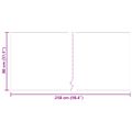 vidaXL Behúň koberec Antracit 80 x 250 cm látka