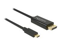 Externý video adaptér - USB-C - DisplayPort - čierna - maloobchod