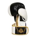 Boxerské rukavice DBX BUSHIDO B-2v16 12 oz