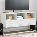 vidaXL TV skrinka biela 100,5x39x60,5 cm oceľ