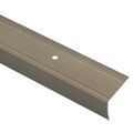 vidaXL Schodové hrany 10 ks šampanského 67 x 3.5 x 3 cm Hliník