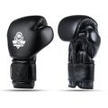 Boxerské rukavice DBX BUSHIDO B-ProFight 12 oz