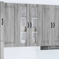 vidaXL Nástenný sklenený kabinet PORTO Sivý Sonoma 60 x 31 x 100 cm