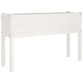 vidaXL Záhradný kvetináč biely 110x31x70 cm borovicový masív