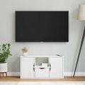 VidaXL TV skrinka so zásuvkou ODDA Biela 79x24x40 cm masívna borovica