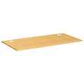 vidaXL Doska stola 80x40x1,5 cm bambus