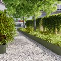 vidaXL Obrubník trávnika 20 ks 25 x 103 cm Olivovo zelená