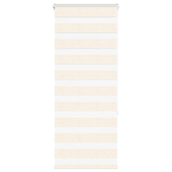 vidaXL Zebra roleta 55x150 cm šírka látky 50,9 cm polyester