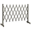 vidaXL Záhradný mriežkový plot sivý 150x80 cm masívne jedľové drevo