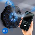 Elektronický boxerský terč HMS TB02 s LED, Bluetooht a rukavicami (Music Boxing Machine)