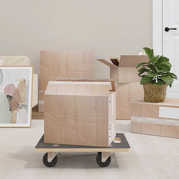 vidaXL Transportné vozíky 2 ks, obdĺžnikové 50x35x11,5 cm 250 kg
