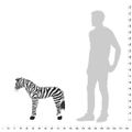 vidaXL Stojaca plyšová hračkárska zebra, čierno biela XXL