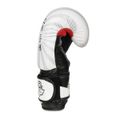 Boxerské rukavice DBX BUSHIDO B-2v8 14 oz