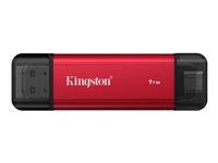 Kingston Dual - SSD - 1 TB - externý (prenosný) - USB 3.2 Gen 2