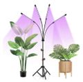 Pozemná LED lampa Gardlov 19388
