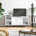 vidaXL TV skrinka biela 100x35x55 cm spracované drevo