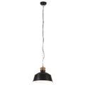 vidaXL Industriálna závesná lampa 32 cm, čierna E27