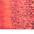 vidaXL Kuchynská rohožka prateľná 45x150 cm koreniny