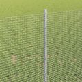 vidaXL Zvarené pletivo s podperami 25 x 1 m Pozinkovaná oceľ Sieťovina