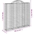 vidaXL Oblúkový gabionový kôš 200x50x180/200 cm pozinkované železo