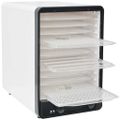 vidaXL Sušička potravín s 10 poschodiami, 550 W, biela