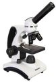 (SK) Mikroskop Levenhuk Discovery Pico