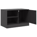 vidaXL TV skrinky 2 ks čierne 67x39x44 cm oceľ