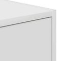 vidaXL TV skrinka 100 x 31 x 25,5 cm Biela Kompozitné drevo