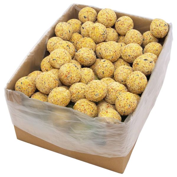 vidaXL Lojové gule pre vtáky 200 ks 90 g