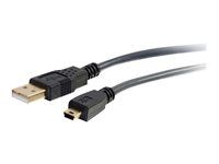 Kábel USB - USB (M) do mini-USB typ B (M) - USB 2.0 - 3 m - lisovaný - uhlovo šedá