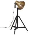 vidaXL Podlahová lampa 25 W starožitná mosadzná 35x35x65/95 cm E27