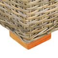 vidaXL Úložný box 120 cm kubu ratan a masívne mangovníkové drevo