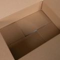 vidaXL Skladací box s úložiskom 50 ks Prírodná 40 x 30 x 10 cm Kartón
