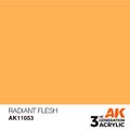 AK Interactive: General Series - Radiant Flesh