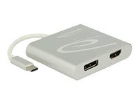 Externý video adaptér - USB-C - HDMI, DisplayPort - strieborná - maloobchod