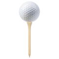 vidaXL Golfové téčka 1000 ks 54 mm bambus