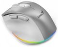 GENIUS Ergo 9000S Pro Silver/ duální Bluetooth + 2,4GHz/ 2400 dpi/ bezdrátová/ 6tlačítková/ dobíjecí/ RGB/ stříbrná Myš, bezdrátová, optická, 2400DPI, 6 tlacítek, Bluetooth, 2,4GHz, USB-C nabíjení, tichá, 7barevné podsvícení, stríbrná
