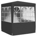 vidaXL Profesionálny párty stan+bočné steny 2x2 m, antracitový 90 g/m²