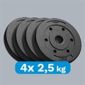 Sada bitumenových závaží 4x2,5 kg, 31 mm, REBEL ACTIVE RBA-2101