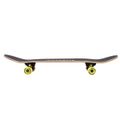 Skateboard NILS Extreme CR3108SA Brain