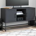 vidaXL TV skrinka antracitová 100,5x39x60,5 cm oceľ