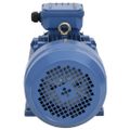 vidaXL 3-fázový elektromotor, hliník 3 kW/4HP, 2-pólový 2840 ot./min
