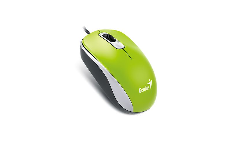 GENIUS DX-110/Kancelárska/Optická/1 000 DPI/Drôtová USB/Zelená