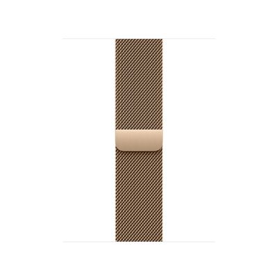 Watch Acc/42/Gold Milanese Loop