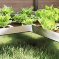vidaXL Slimáková ohrada 10 x 10 x 25 cm Nehrdzavejúca oceľ Strieborná