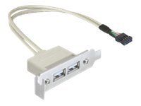 Kábel USB - USB (F) do hlavička USB 9 pinov (F) - USB 2.0 - 50 cm