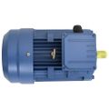 vidaXL 3-fázový elektromotor, hliník 4kW/5,5HP, 2-pólový 2840 ot./min