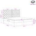 vidaXL Úložná posteľ s čelnou doskou Čierna 200 x 200 cm Látka
